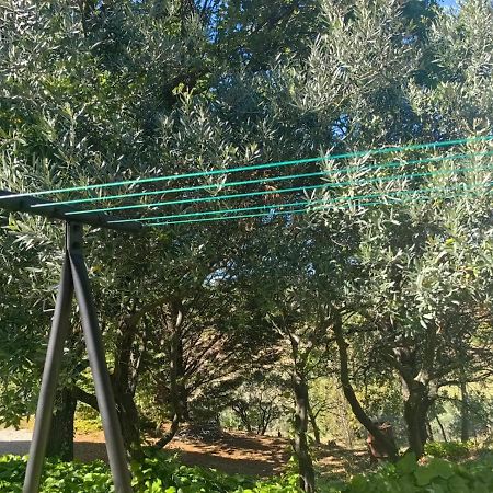Petit Coin De Paradis En Provence Aups Eksteriør bilde
